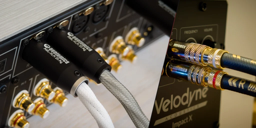 XLR and RCA analogue audio connectors.